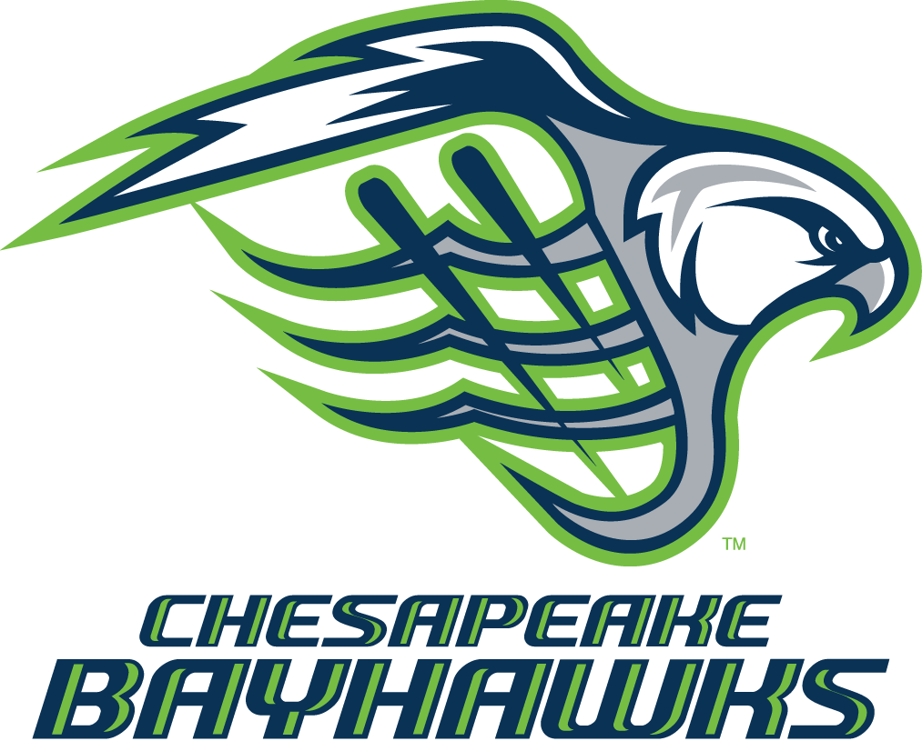 Chesapeake Bayhawks 2014-Pres Primary Logo iron on transfers for clothing